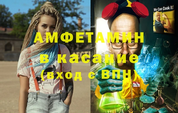 сатива Армянск