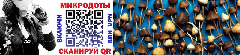 купить   Приморск  MEGA ONION  Псилоцибиновые грибы мухоморы 
